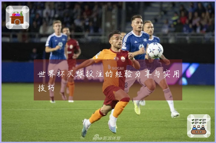 世界杯买球投注的经验分享与实用技巧