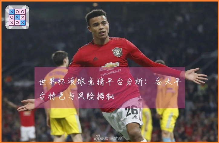 世界杯滚球竞猜平台分析：各大平台特色与风险揭秘