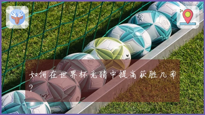 如何在世界杯竞猜中提高获胜几率？