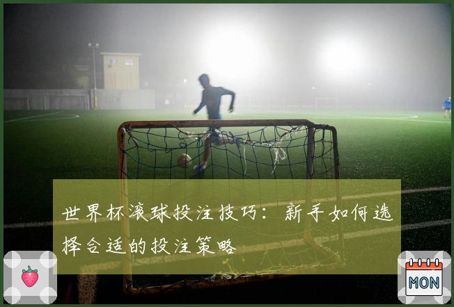 世界杯滚球投注技巧：新手如何选择合适的投注策略