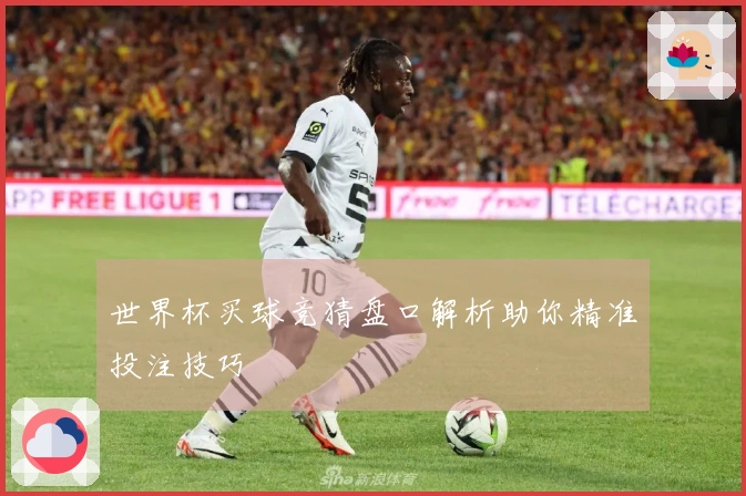 世界杯买球竞猜盘口解析助你精准投注技巧