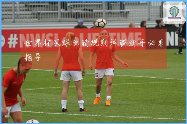 世界杯买球竞猜规则详解新手必看指导